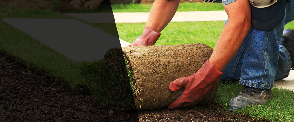 Sheffield Landscapers